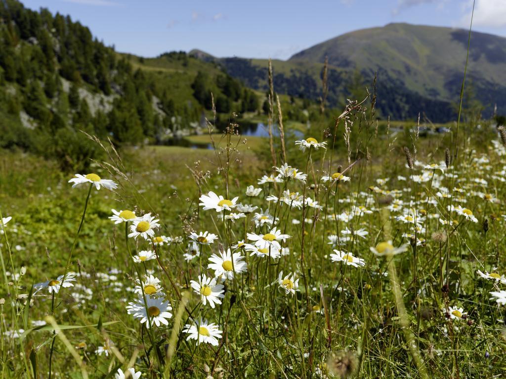 Schi- Und Wanderhotel Berghof Bad Kleinkirchheim Exteriör bild